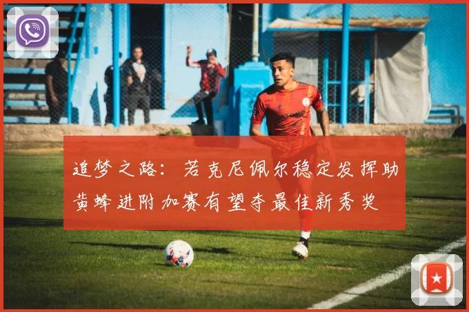 追梦之路：若克尼佩尔稳定发挥助黄蜂进附加赛有望夺最佳新秀奖